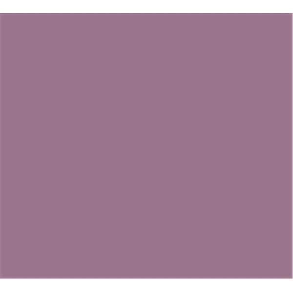 Tru-Color Paint Tru-Color Paint TCP1024 Mountbatten Pink Color TCP1024 - main
